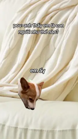 iu được em Ny ưa nịnh#haihuoc #meme #meow #xuhuong #giaitri #fpy #xuhuongtiktok 