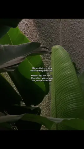 #xh #tamtrang #chill #chuyencuatoi 