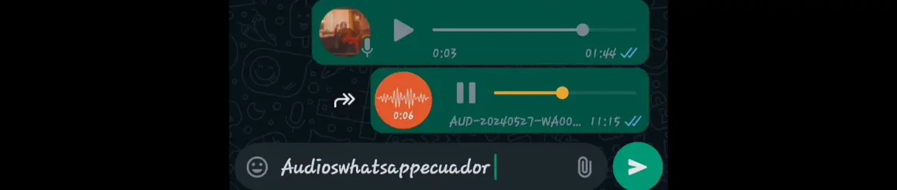 #audioswhatsapp #ecuador #audioswhatsappecuador #foryou #oyegusmamquienteingreso #tisiquejodestodoslosdias 