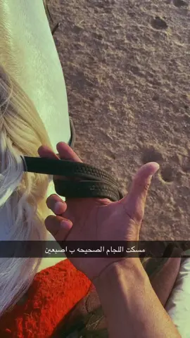 #خيل🐎 #انتشار_سريع #خيل #اجواء_خيالية #خيل_عربي_اصيل #انتشار_سريع 
