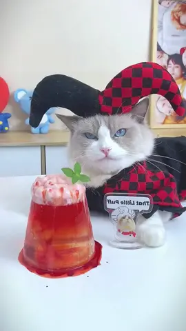 #caslovers #fouryou #fypシ゚viral #kittygod_cn #puffcorn #catsoftiktok 