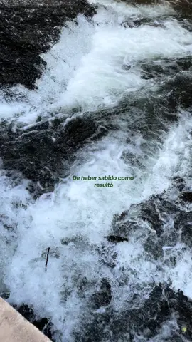 Peque de ignorante o de inocente Quizás de indecente, ¿qué tanta wea? Peque de ignorante o de inocente Quizás de indecente, ¿qué tanta wea? Yo no sabía, como sería Tu mundo raro ¿Ya qué más da? . . . . . . . . . . . . . . . . . . . . . . #paratiii #fyp #dehabersabido #rosarioalfonso #rios 