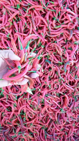 #alhamdulillah 🤲🤲🤲