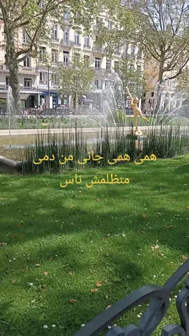 ھمی ھمی  جانی من دم#tiktok 