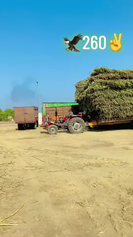 #🚜✌️lito✌️🚜 #🌽🌽🌽🌱🌱🇲🇽🚜👍🏻 #پِنڈاں_آلے🥀👑 #✌️🔥👋🌽 #🚜🌾🚜🌾🚜🌾🚜🌾🚜🌾🚜🌾 #جٹ_محکمہ👑🦁🔥پینڈاں_والے_جٹ🖤⚡ 