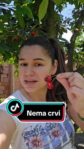 Ne proveravajte dal' ima crvi u trešnje!🤣 #fypageシ #foru #jovanajovic #smesno #tresnje #smesni_klipovi 