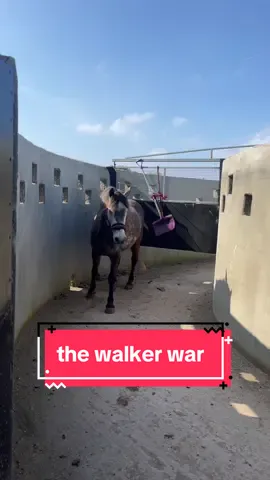 how many forks does it take to get a pony to walk? #equestrian #horsetok #equestrianvibes #equestrianlife #horseriding #horsetiktok #equine #horsesoftiktok #fyp 