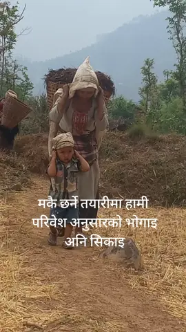 #rolpamuser @Rasmeeta Mogar 