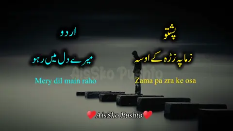 Full song Zama pa zra ke osa zama khesta janana | learn pashto with urdu translation #viral #tiktok #urdu #pashto #shorts #foryou #foryoupage #fyp #FYP #video #song 