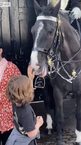 adorable kings guard horse ❤️ #royalguard #kingsguard #uk 