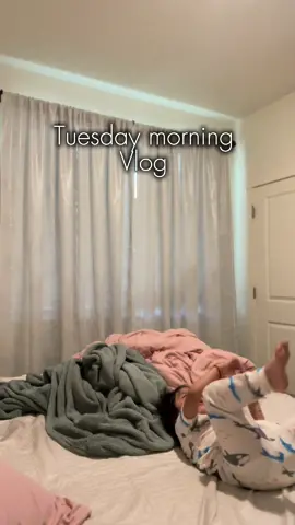 Tuesday morning vlog ✨ happy tuesday everyone 💗 #toddlers #toddlersoftiktok #fyp #paratii #adayinmylife #food #momtok #momlife #sahmoftiktok #sahm #sahm #momcontent #momcontentcreator #contentcreator 