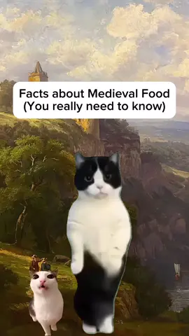 Facts about Medieval Food you really need to know #fyp #History #ancienthistory #historylovers #worldhistory #historynerd 