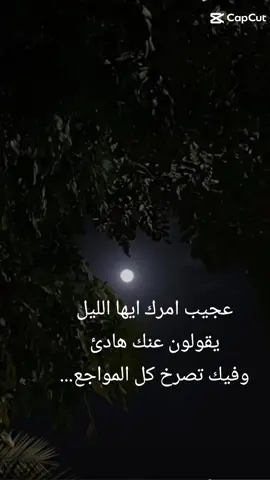 اللبل..امينه فاخت#الزمن_الجميل #اغاني #Sing_Oldies #capcut #الليل #مجرد________ذووووووق🎶🎵💞 #لايك #تعليق #تفاعلكم #تفاعلكم #عبارات #ستوريات 
