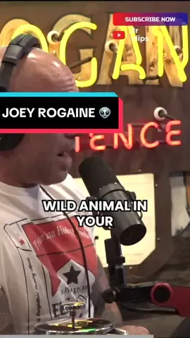 The Adorable World of Otters: Joe Rogan and Matt Rife's Conversation 👽 #FYP #VIRAL #JRE #JOEROGAN #MATTRIFE 