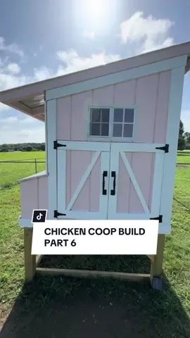 Oh How i wish it was that easy…  Part 6 of the Chicken Coop Build #DIY #chickencoop #paint 