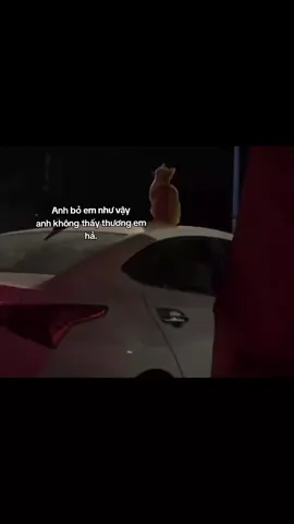 #xhhhhhhhhhhhhhhhhhhhhhhh #kymnqanz_08 #inlove❤️ #fyp #nqanz_08 #viral #xhtiktok #xh #xh2024 