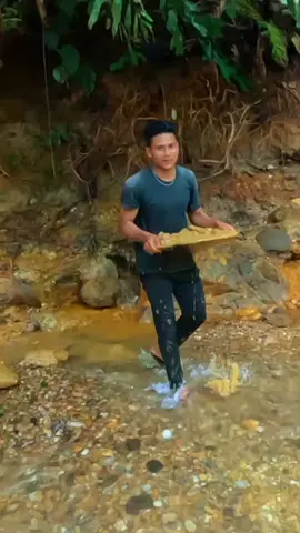Mengambil isi kekayaan alam di sungai hutan perbatasan sumbar-Riau #fypシ #videoviral #fypシ #mendulangemas 