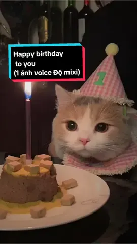 Happy birthday to you 1 ảnh nhẹ nhàng giọng Độ Mixi  #CapCut #Mixigaming #xuhuong #meo #cute #nhenhang 