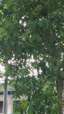 dikira repaint, suka heran🤔 #vario125modifikasi #varioindonesia #fypシ 