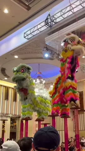 🇭🇰 2024 慶祝港島南區天后誕晚宴 周漢興龍獅總會 🇭🇰 姜氏金龍醒獅團 🇲🇾 雪州万挠玄龙体育会 Xuan Long Dragon And Lion Dance Rawang Selangor 威武五家 老夫子狮 #马来西亚 #malaysia #malaysiatiktok #liondance #mualan #tariansinga #barongsai #醒獅 #醒狮 #舞狮 #liondancer #liondanceperformance #liondancecompetition #liondancelife #高桩 #高桩舞狮 #高桩舞狮🦁 #高桩舞狮表演 #舞狮生活 #舞狮比赛 #舞狮表演 #舞狮运动 #liondancemalaysia #liondance2024 #múalan #múalan2024 #lansurong #lansurong2024 #liondancing   #liondancedrum #liondancedruming  #barongsaitiktok #barongsai2024 #传统 #传统文化 #traditional  #台上一分钟台下十年功   #respect #传统器材阵式 #传统南狮器材表演 #香港 #hongkong #hongkongtiktok #老夫子狮 #姜氏金龍醒獅團 #雪州萬撓玄龍體育會 #雪州万挠玄龙体育会 #雪州萬撓玄龍文化協會 #xuanlong #xuanlongliondance #xuanlongmalaysia #xuanlongrawang #玄龙 #马来西亚玄龙体育总会 #马来西亚玄龍体育总会 #老夫子狮 #威武五家 #威武五家狮艺 #威武五家獅藝 