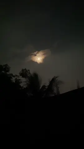 তোমাকে চিনেছি বলেই তো এতটা জড়িয়ে গেছি, মন প্রাণ উজাড় করে তোমায় দিয়ে দিয়েছি..!🙃🖤#fyp #foryou #foryoupage #moon #Love #night #cxfharafat #fuadhasanarafat #tiktok #bangladesh 