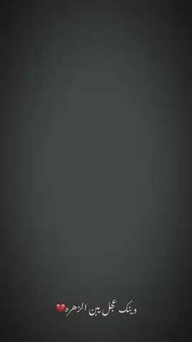 العجل يبن الزهره..#رباح_العيساوي 