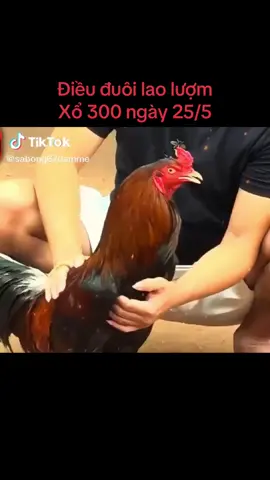 Sức khoẻ đã ổn định 🥰