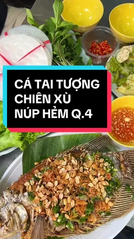 Một quán bán món Cá Tai Tượng Chiên Xù siêu ngon núp hẻm Q.4 #ansapsaigon #LearnOnTikTok #tryitwithtiktok #ancungtiktok #vtmgr #saigon #reviewanngon #hellovietnam 