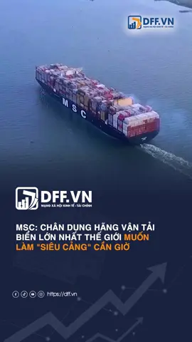 MSC: Chân dung hãng vận tải biển lớn nhất thế giới muốn làm 