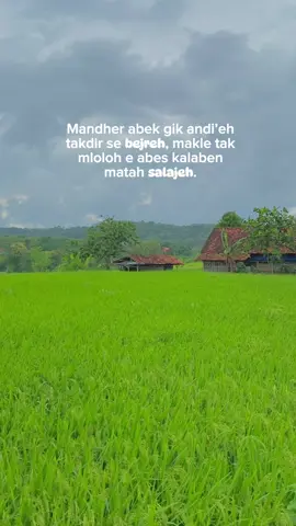 #katakatamadura #katakatamaduraviral #madurapride #fyp #maduravibes 