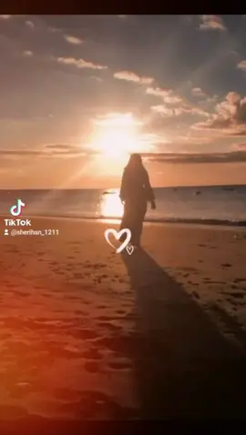 #لا يوم_ سلمت _ولا استسلمت🤍✨ هلا_رشدي🎤🎼