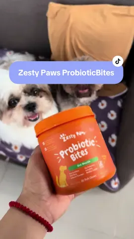 Importante talaga ang over-all health ng mga alaga natin including “gut health kaya gamit namin ang probiotic bites ng @Zesty Paws. para ma maintain ang gut health nina gigi at coco. Try nyo na din mga ka sweetzu. #shih #dogsofttiktok #zestypaws #fyp 