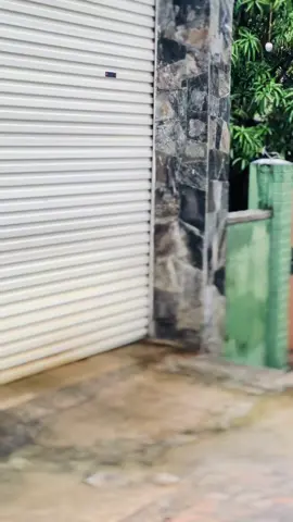 🕊️✨🧸#sahansa_gunarathana #japan🇯🇵 #fyp #viralvideo #srilankan_tik_tok🇱🇰 #trending #curlyhair #tiktok #1millionaudition @Sadila Dhanujaya 