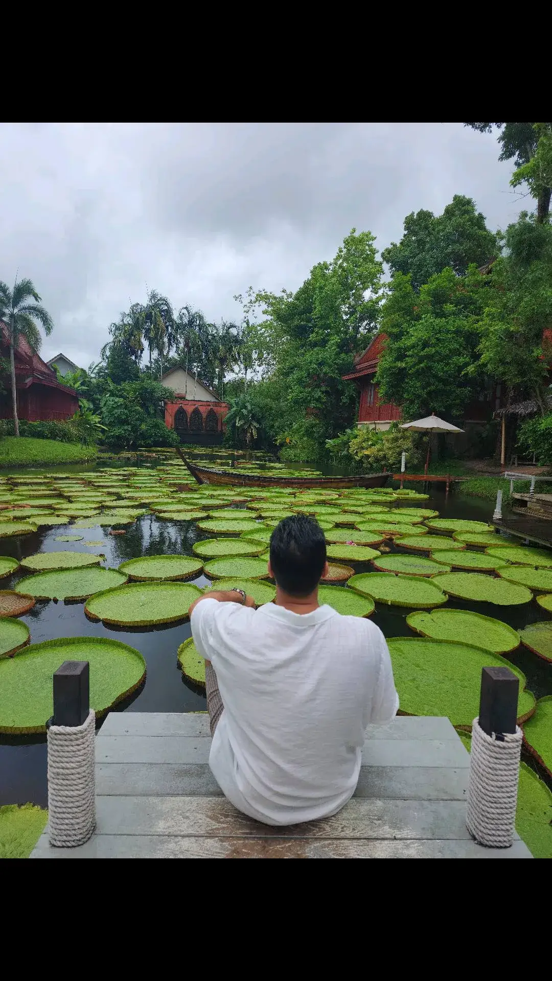 The world is full of magic things, patiently waiting for our senses to grow sharper. – W.B. Yeats