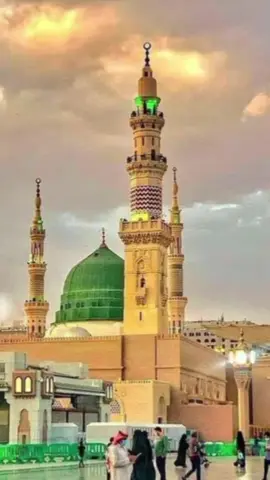 #ringtone #neshida❤ethiopiantiktok 