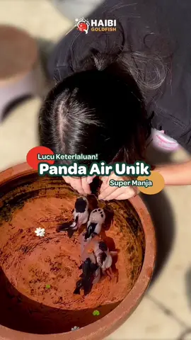 Rela panas-panasan demi dapet scene lucu sama mereka! Worth the gosong 🤣🥵