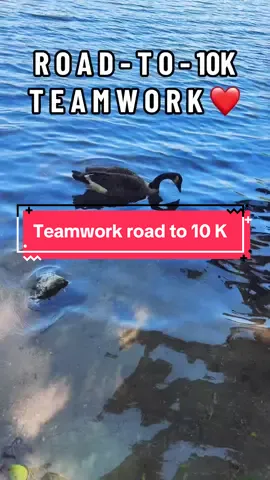 #teamwork #roadto10k #under10k #teamworkmakesthedreamwork 