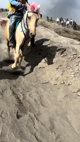 Naik jela kuda tu. Bukan main azab lg nak naik atas dengan berpasir nye 😂 #Hiking #kawah #bromo #malang #indonesia