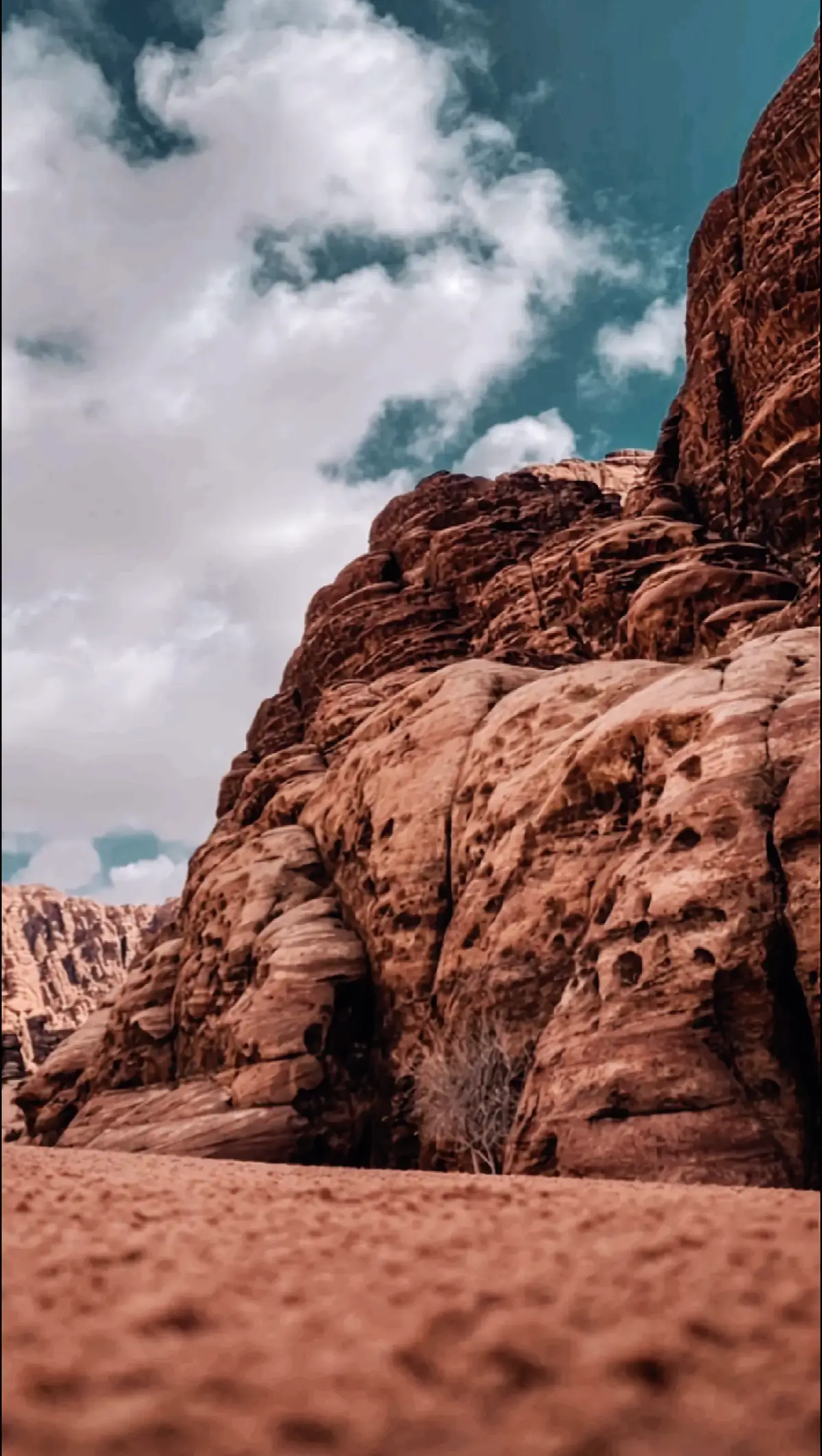 #قرآن #قرآن_كريم_راحة_نفسية #اكسسبلور #trending #tutorial #standwithkashmir #fypシ゚viral #tiktokindia 