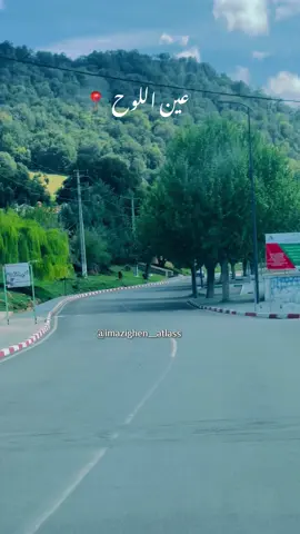 عين اللوح  🥰💯🌲🌓 #imazighen♓♓❤️❤️ #فرنسا🇨🇵_بلجيكا🇧🇪_المانيا🇩🇪_اسبانيا🇪🇸 #ازرو_افران_مريرت_خنيفرة_أجلموس_الحاجب❤️ #fypシ #explore #viral #خنيفرة #خنيفرة_ازرو_ميدلت_بني_ملال_الحاجب #الشعب_الصيني_ماله_حل😂 #المغرب🇲🇦تونس🇹🇳الجزائر🇩🇿 