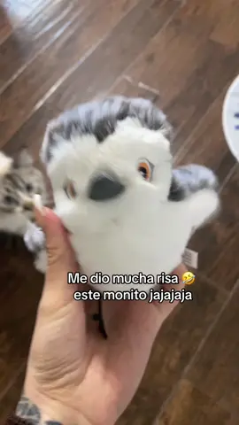 Toys for cats! This one was too funny too watch Jaja #cattoys #catsoftiktok #cats #catslovers #pets #mascotas #gatitos 