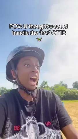 Might not be the best horse for beginners 🐎💨 #fypage #foryoupage #horsetok #horsesoftiktok #horses #barrelracing #horselife #horseriding #ottb #racehorse #throughbred #funny 