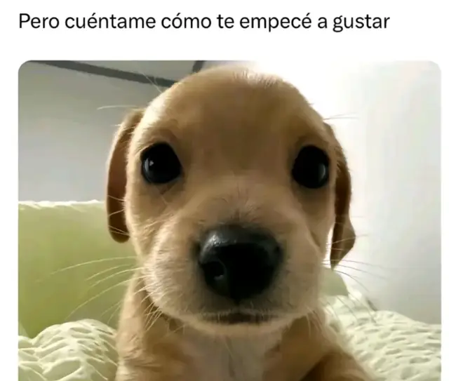 Y fue así como comenzó todo... #20 @Nayeli GC ❤️ . . . . . . . . . . . . . . . . . . . . . . . #parati #amazing 