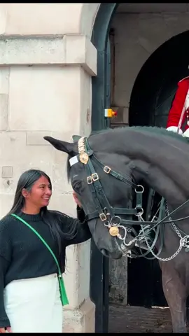 #horse #london #indian #respect #amor 