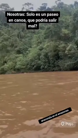 #amazonas #rioamazonas #anaconda🐍 