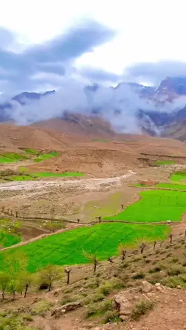 #hazaragiculture😍 #foryou #fory #fypシ゚viral #tiktok #foryoupage #deutschland🇩🇪 #foru #viral #fy 