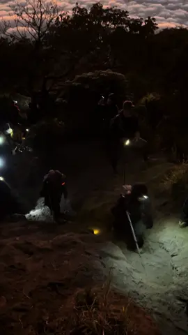 Diatas awan gunung slamet #fyp #fypシ゚viral #fypp #mountain #diatasawan #gunungslamet #hiker #Hiking #adventure 