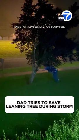 “SAVE THE TREE!” A family in Kentucky became protective of a tree outside their home ahead of a powerful tornado that struck the area. #kentucky #abc7la #kentuckystorms #tornado