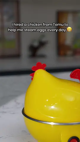 🐔 I hired a chicken from Temu to help me steam eggs every day. 😁🔎 Search dpj3393 on Temu for this amazing product. #Temu #TemuFinds