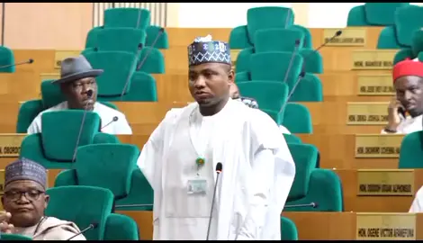 Hon Bashir usman gorau Contributing to a motion at today’s plenary, query the indifference of our service chiefs urges the National Assembly to invite the service chiefs for thorough questioning on the measures been taken to address insecurity.